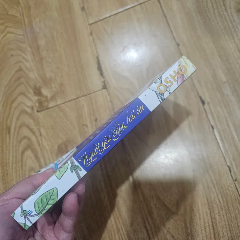 Người yêu chim hải âu
65k 562710