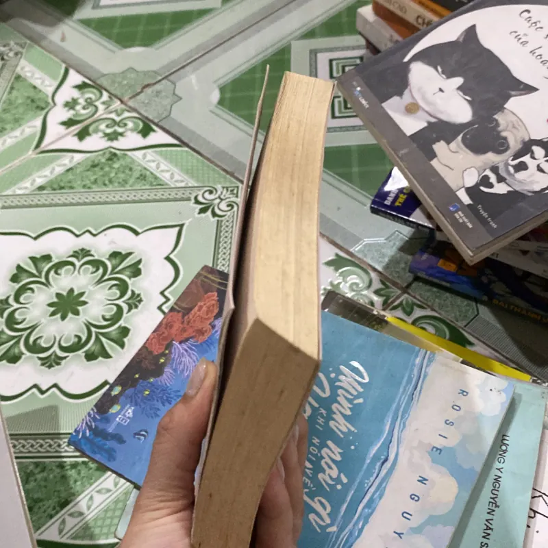 Chúng ta từng chung một đoạn đường  781392