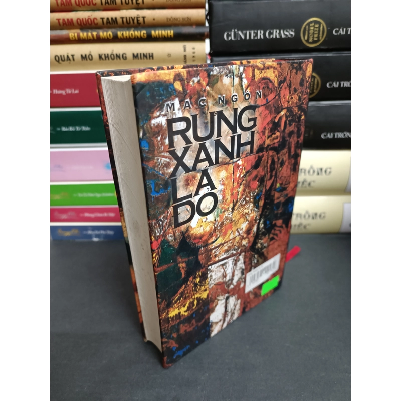 Rừng xanh lá đỏ 474088
