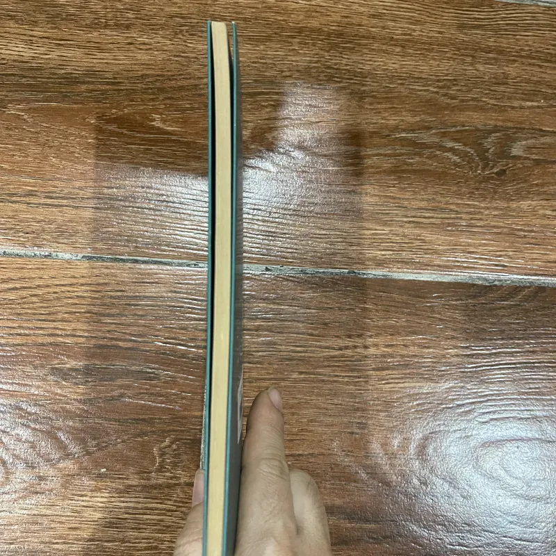 Rớt hột phiêu bồng - Bùi Giáng (7) 310640