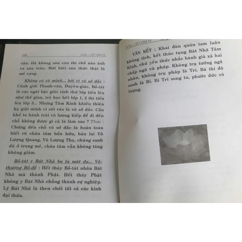 Sống Chết Bình An - Tỳ kheo ni Hải Triều Âm 697560