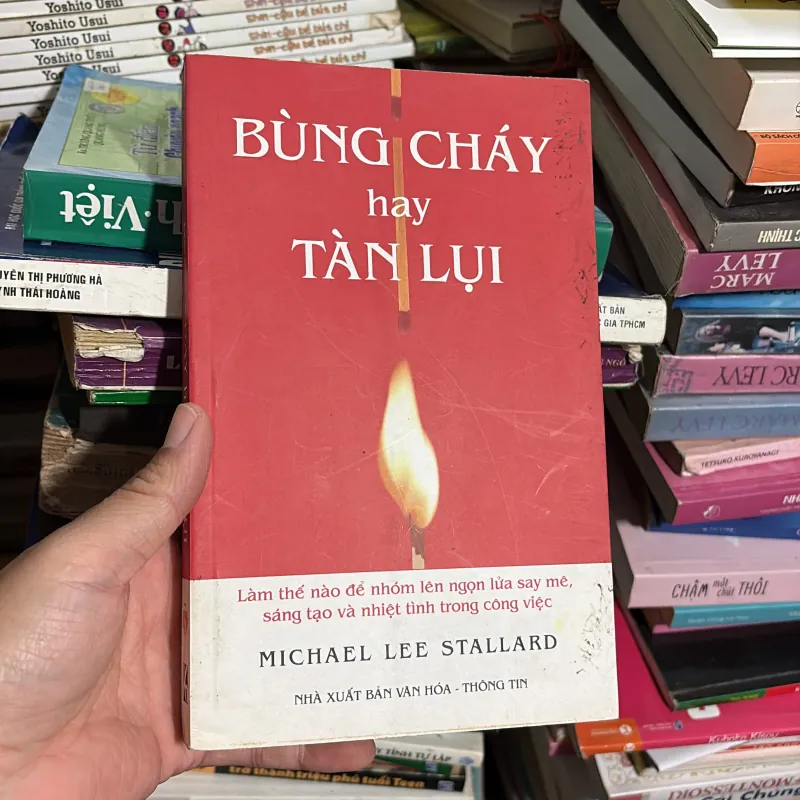 II Sách Kỹ Năng: Bùng Cháy Hay Tàn Lụi - MICHAEL LEE STALLARD - 2008 779231