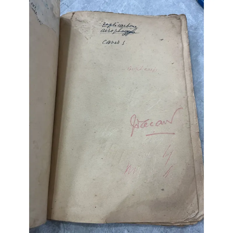 SỰ LÝ LỄ TỤNG - TỐ LIÊN 798972