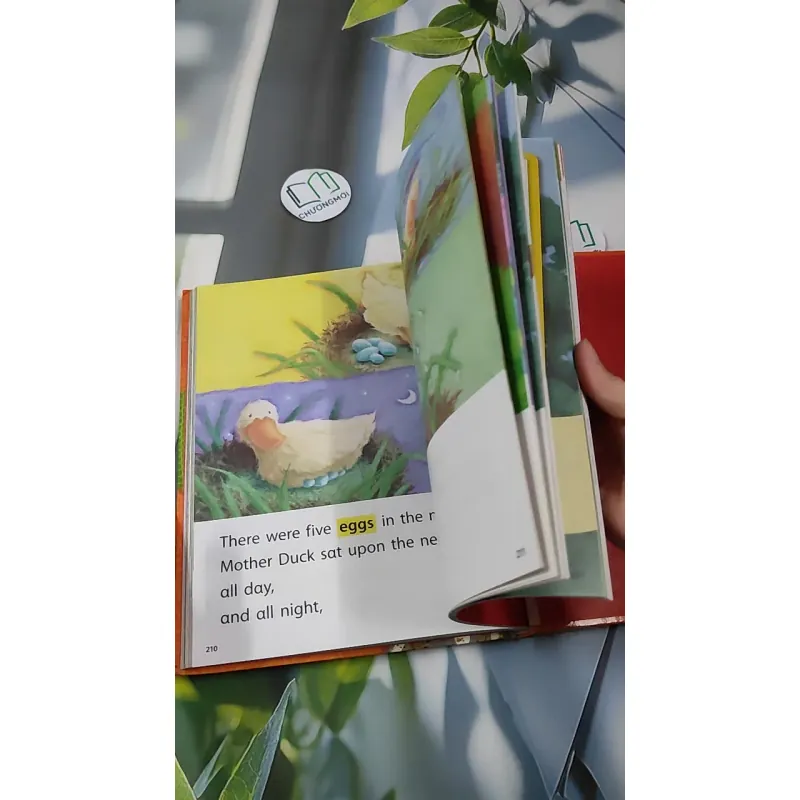 [MIỄN PHÍ BỌC SÁCH] Reach: Language, Literacy, Content - Level 1 990374