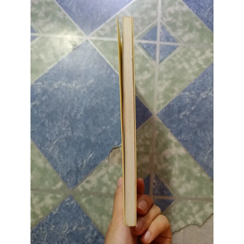 Mười hai con mắt ( Di cảo thơ ) I - Bùi Giáng 1000197