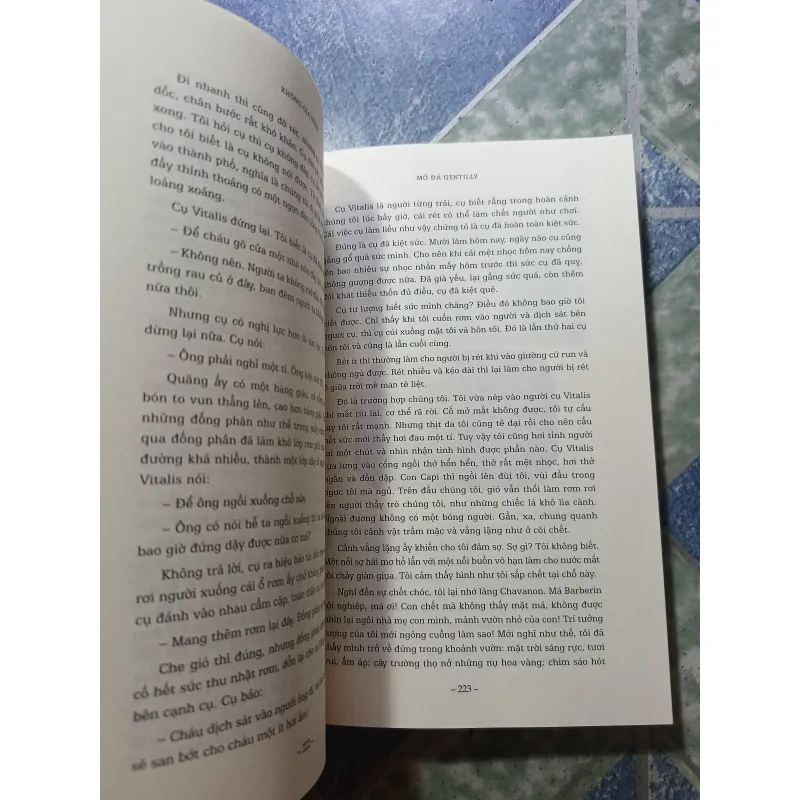 Không Gia Đình - Hector Malot 1018760