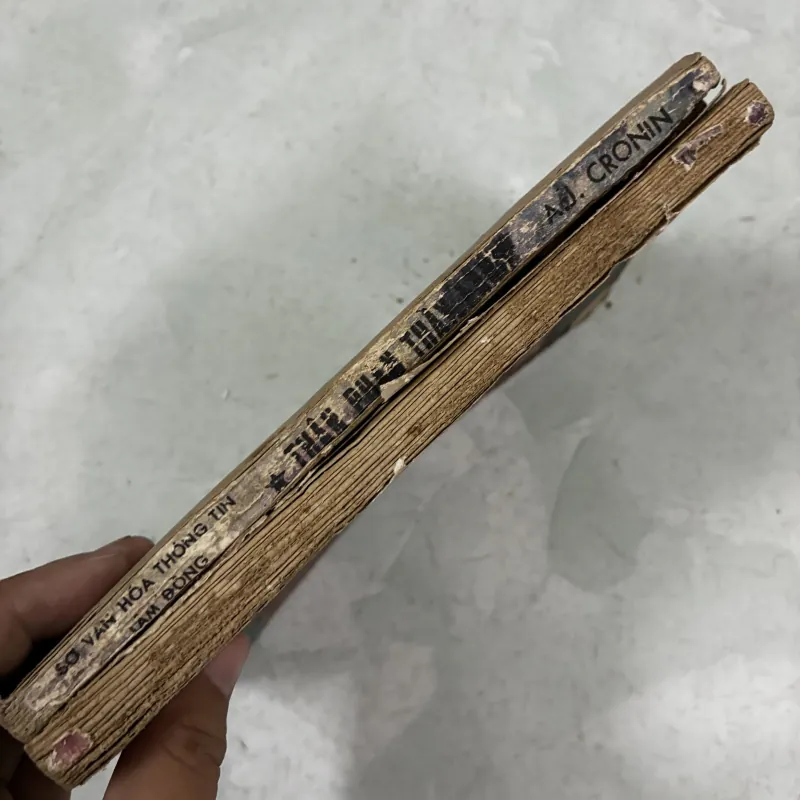 Thân phận thầy lang (2 tập) 1029708