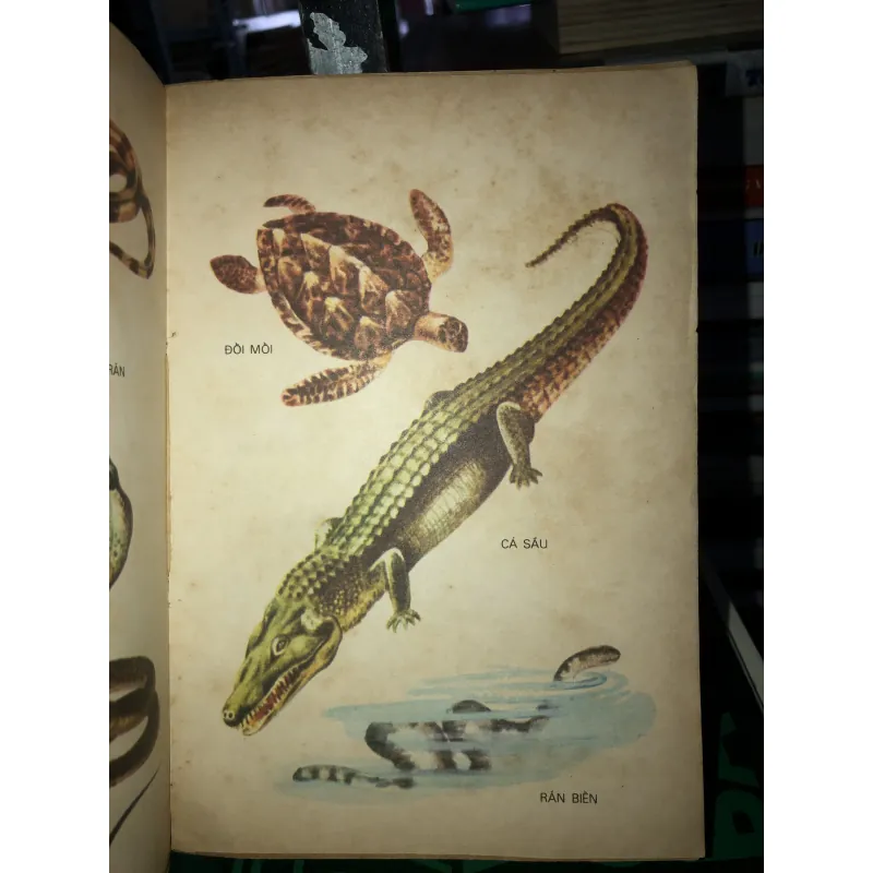 Từ điển học sinh   786811