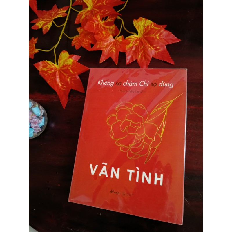 Không Sợ Chậm Chỉ Sợ Dừng Vãn Tình 192748