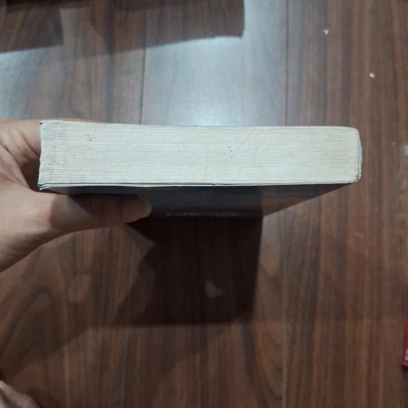 Những đứa concuar tự do 504500