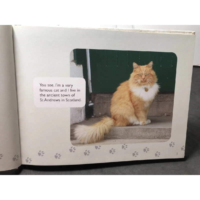 Hamish Mchamish of st andrews cool cat about town mới 90% bìa cứng , bẩn nhẹ Susan McMullan HPB0709 NGOẠI VĂN 458452