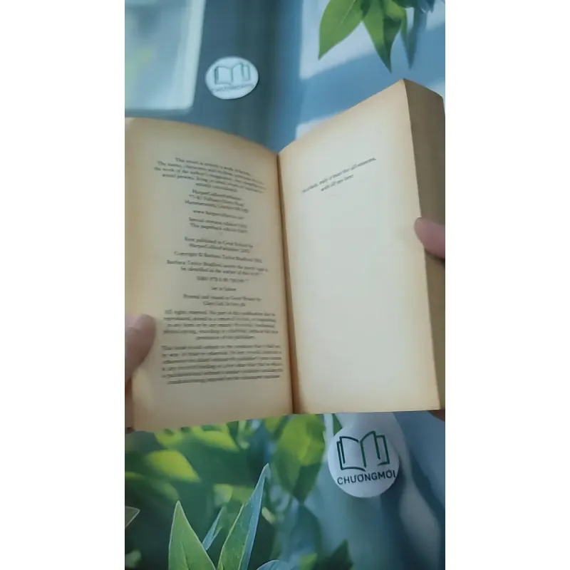 Three Weeks in Paris - Barbara Taylor Bradford 1027568