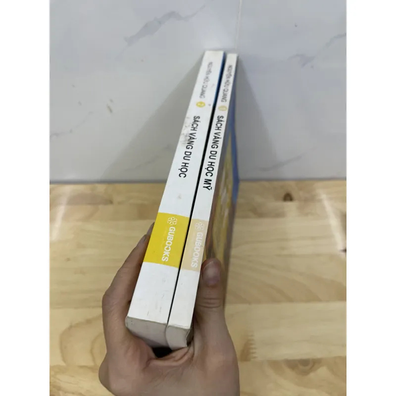 Bộ 2 cuốn sách du học mỹ 762569