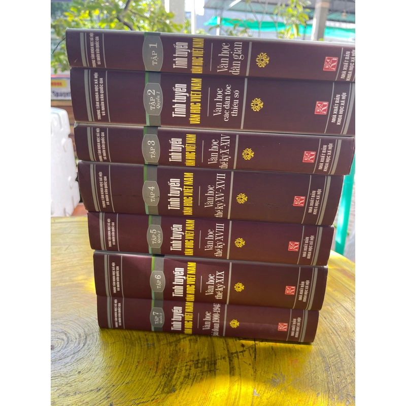 Combo Tinh tuyển Văn học Việt Nam 463883