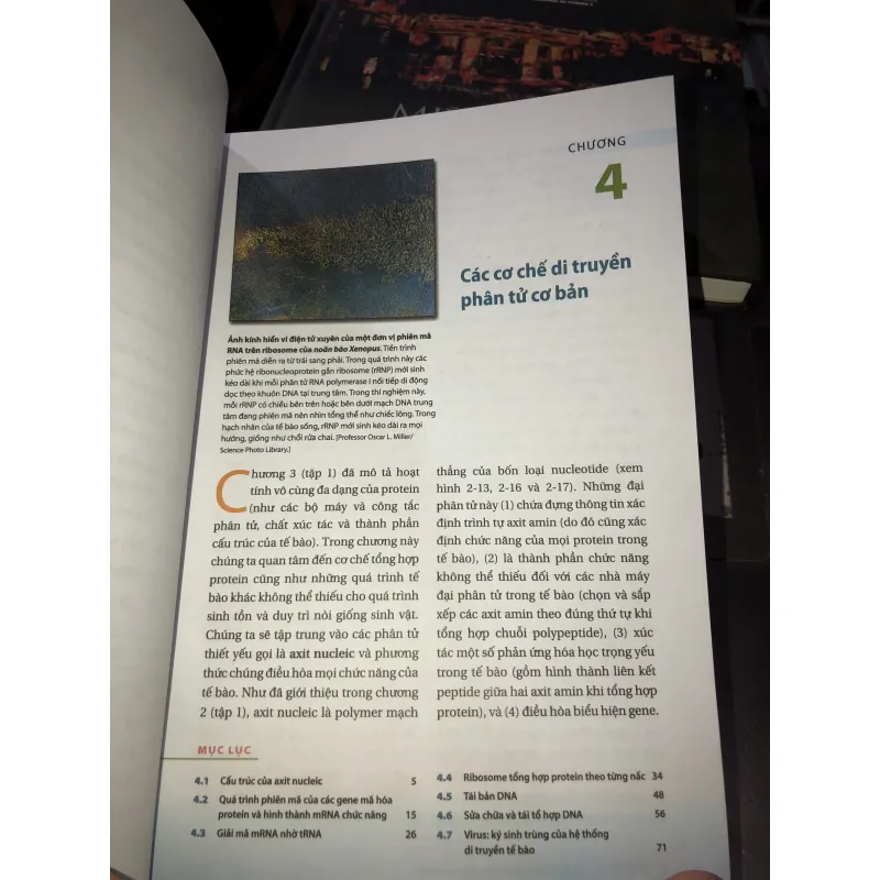 Sinh học phân tử của tế bào tập 2  1010154