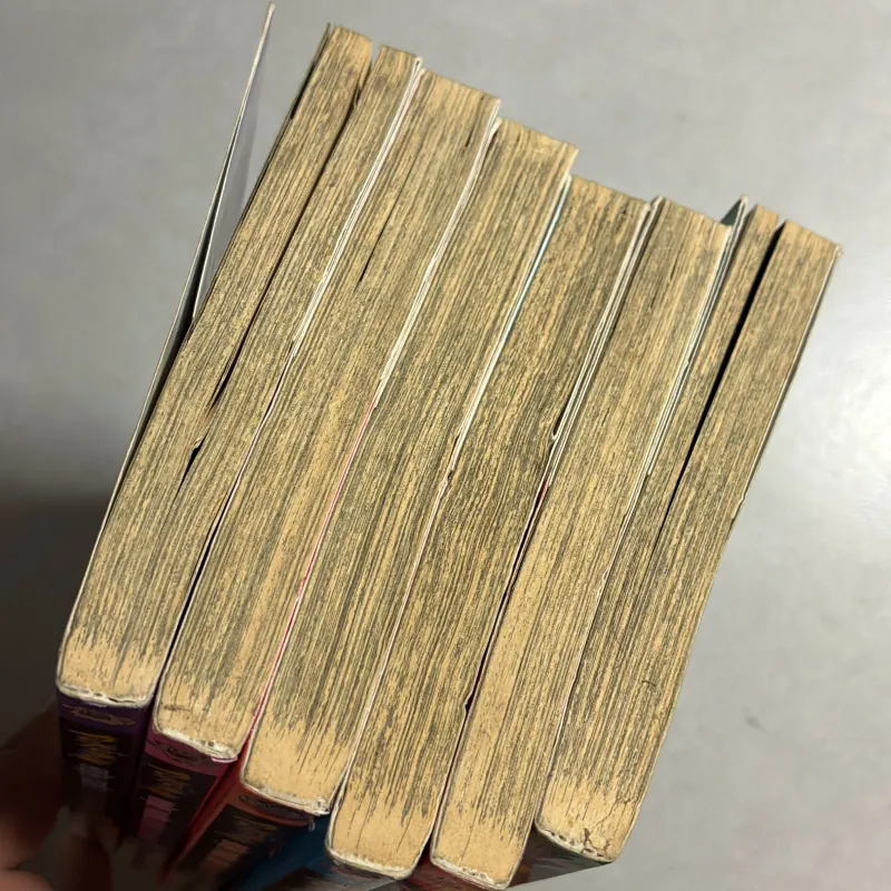 Cuộc phiêu lưu của Pippi (combo 6 cuốn) 970317