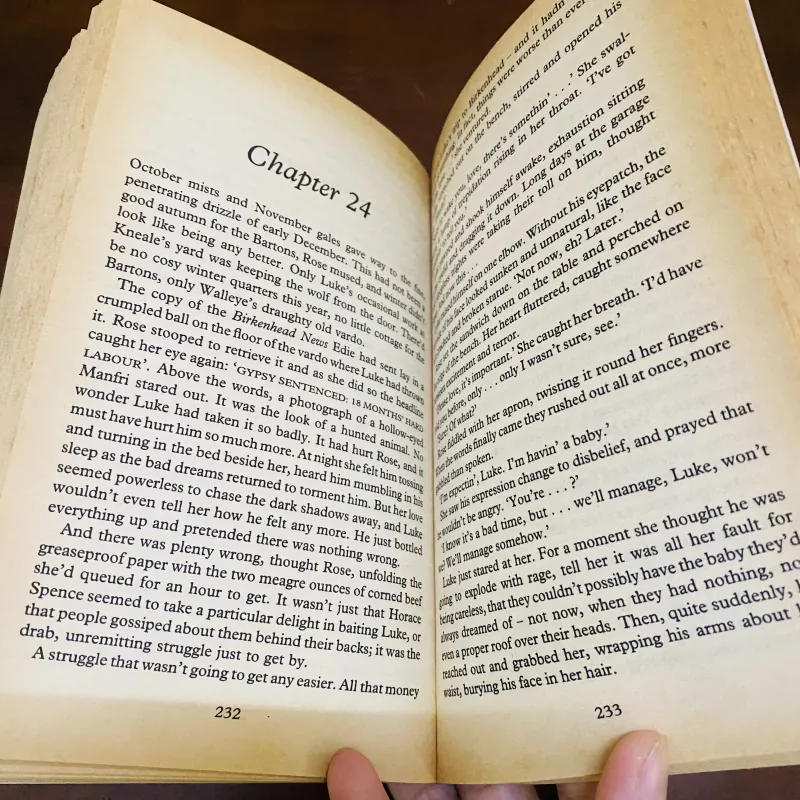 Fairfield rose - Sue Dyson  990595