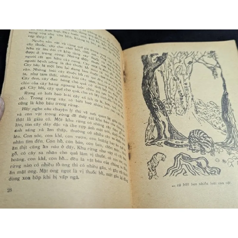 Kể chuyện rừng việt nam - Võ Trí Chung 605479