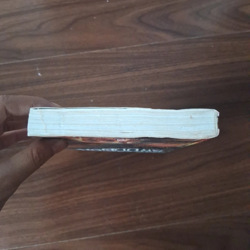 Báo cáo của Brodeck 524637