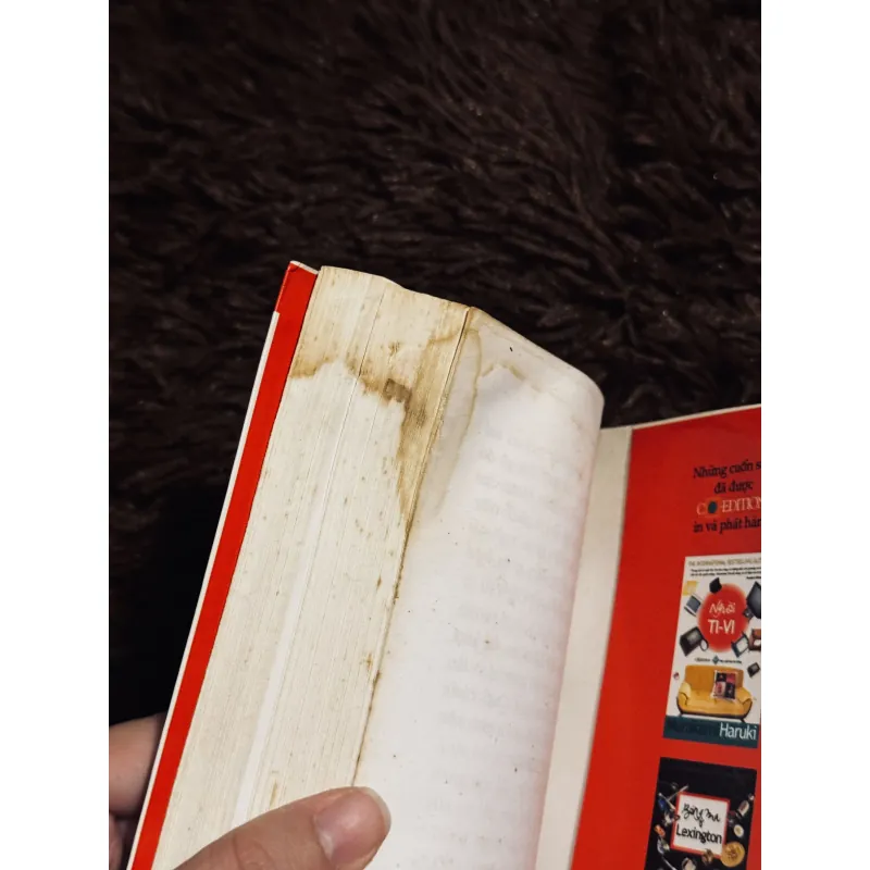 Combo 5c Haruki Murakami (đọc mô tả) 759347