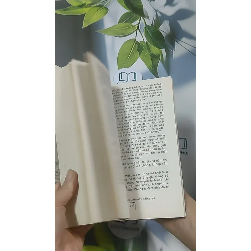 Mèo đen không ngủ - Trương Duyệt Nhiên 688649