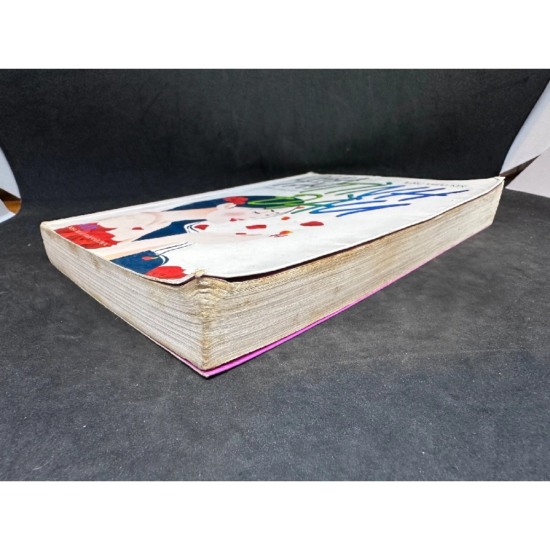 Chia Tay Tình Đầu, Lạc Tiểu Mỹ, Mới 60% (Ố Vàng, Trang đầu có ghi chữ), 2010 SBM2504 914120