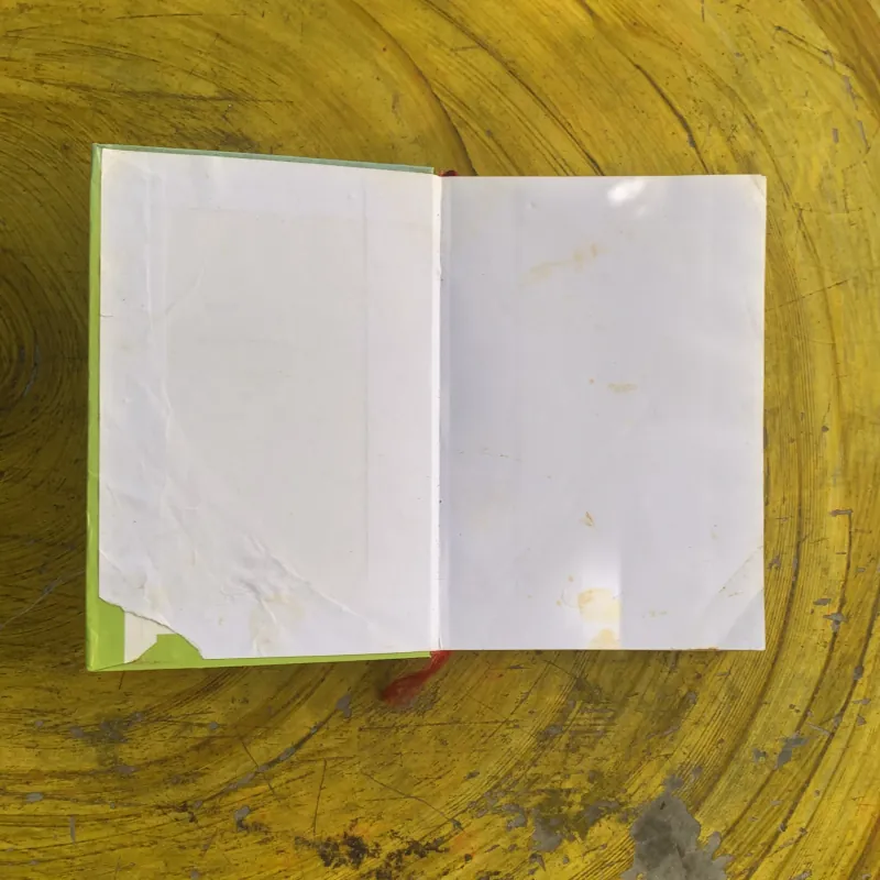 ĐỒI GIÓ HÚ - EMILY BRONTI 1003078