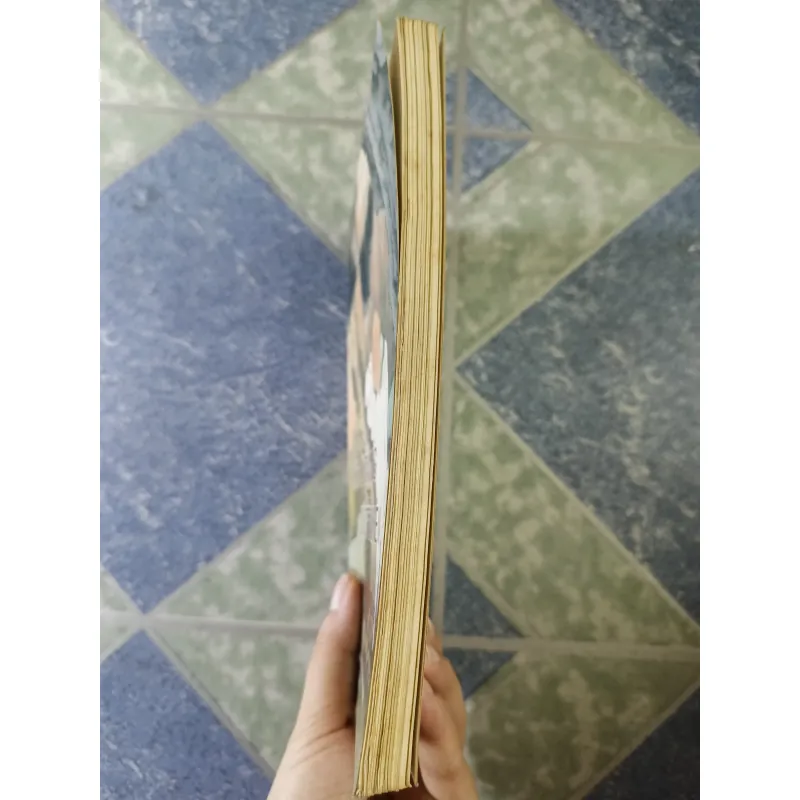 Cao tăng dị truyện ( truyện kể các vị cao tăng Trung Quốc) - Viên Chiếu 700453