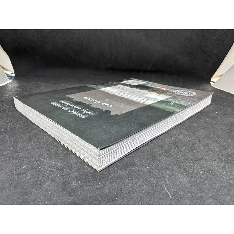 [Phiên Chợ Sách Cũ] Giấc Mộng Sói Vương, Thẩm Thạch Khê, H0606, 2012 524870
