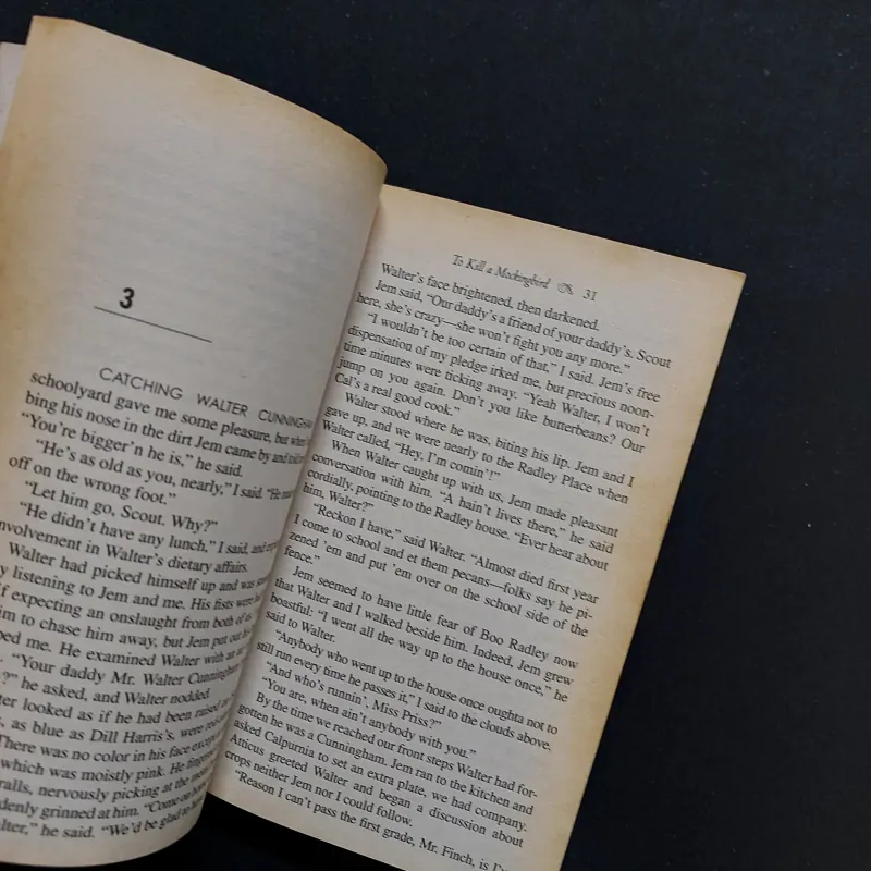 [Sách Cũ Ngoại Văn] To Kill A Mockingbird 792435