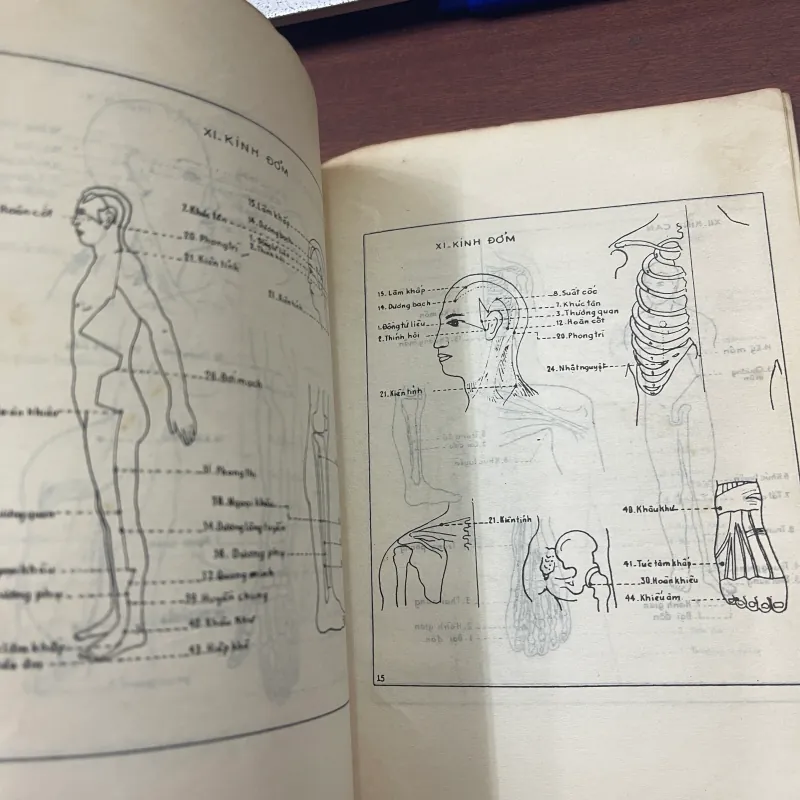 CHÂM CỨU CỔ TRUYỀN VIỆT NAM - LÊ TRẦN ĐỨC  997546