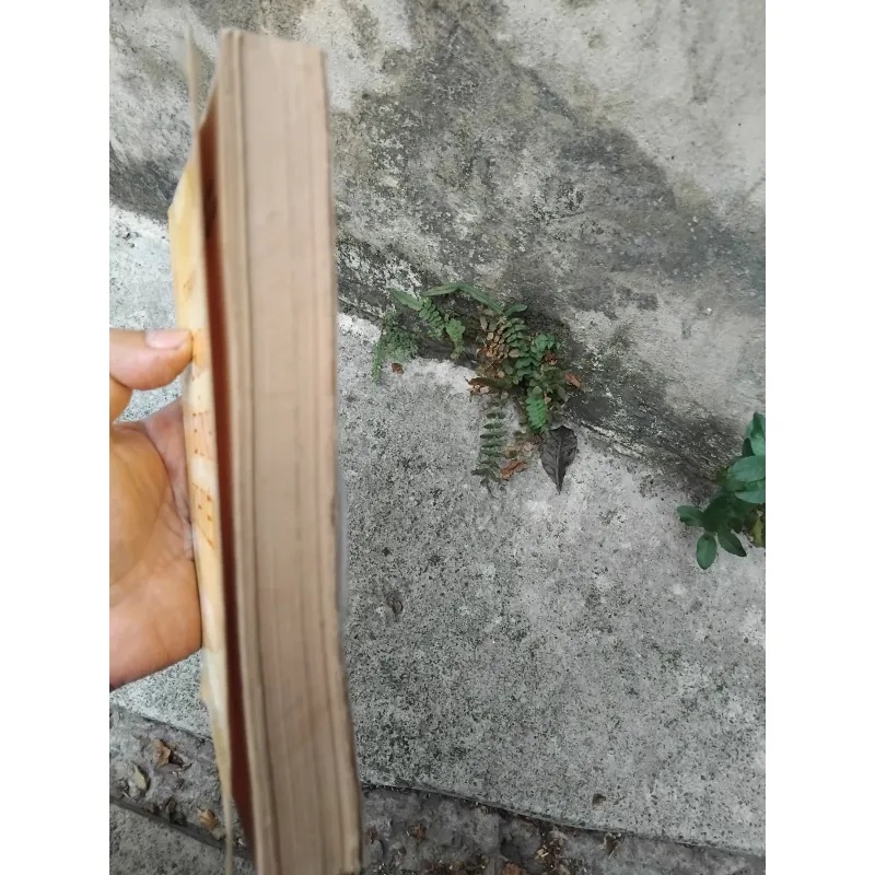 Trạng trình Nguyễn Bỉnh Khiêm  1022826