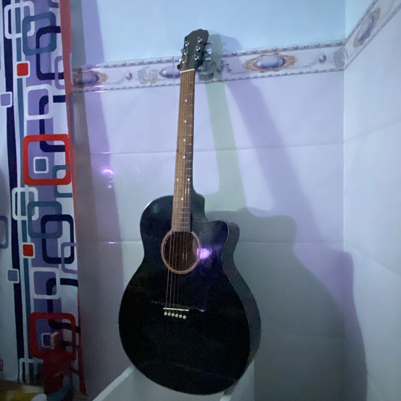 Gujtar acoustic  446414