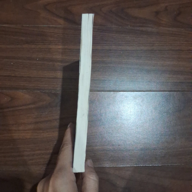 Người tự sát thứ mười ba 526330