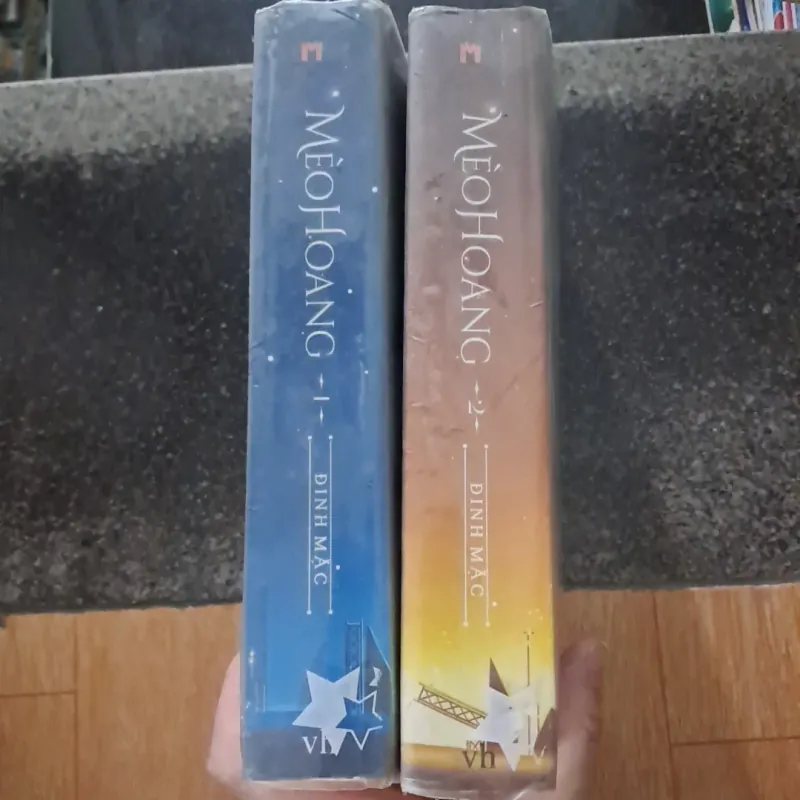 Mèo hoang-Đinh Mặc 1021265