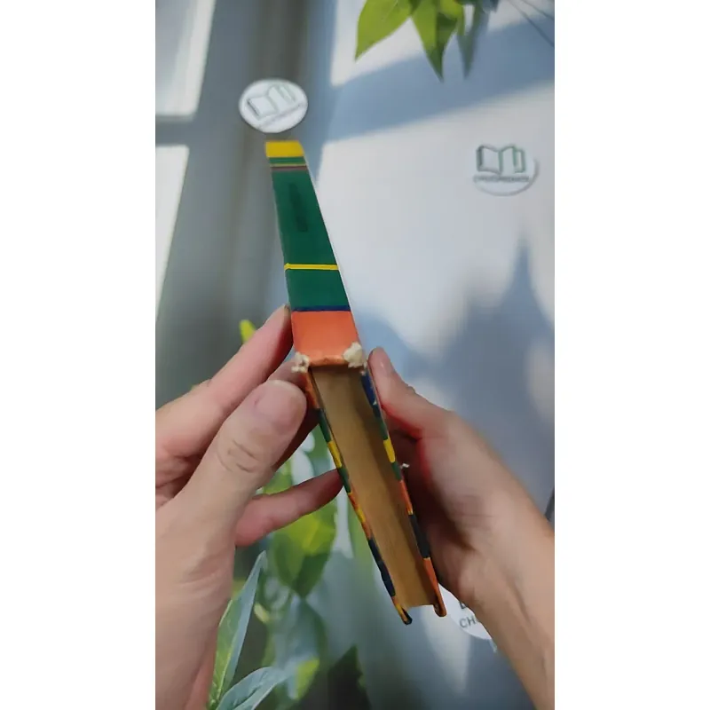 [MIỄN PHÍ BỌC SÁCH] [XƯA] Northern Lights (1980) 990449