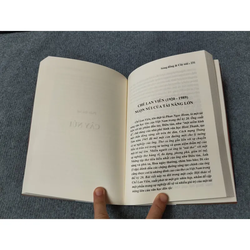 SÓNG ĐỒNG & CÂY NÚI - LÊ QUANG TRUNG 729312