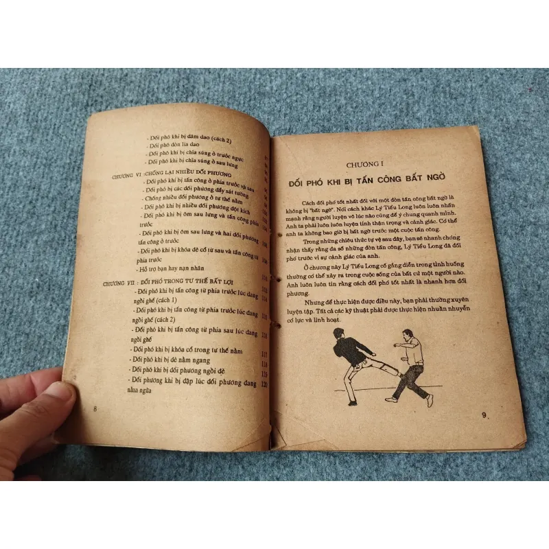 PHƯƠNG PHÁP CHIẾN ĐẤU CỦA LÝ TIỂU LONG 701893