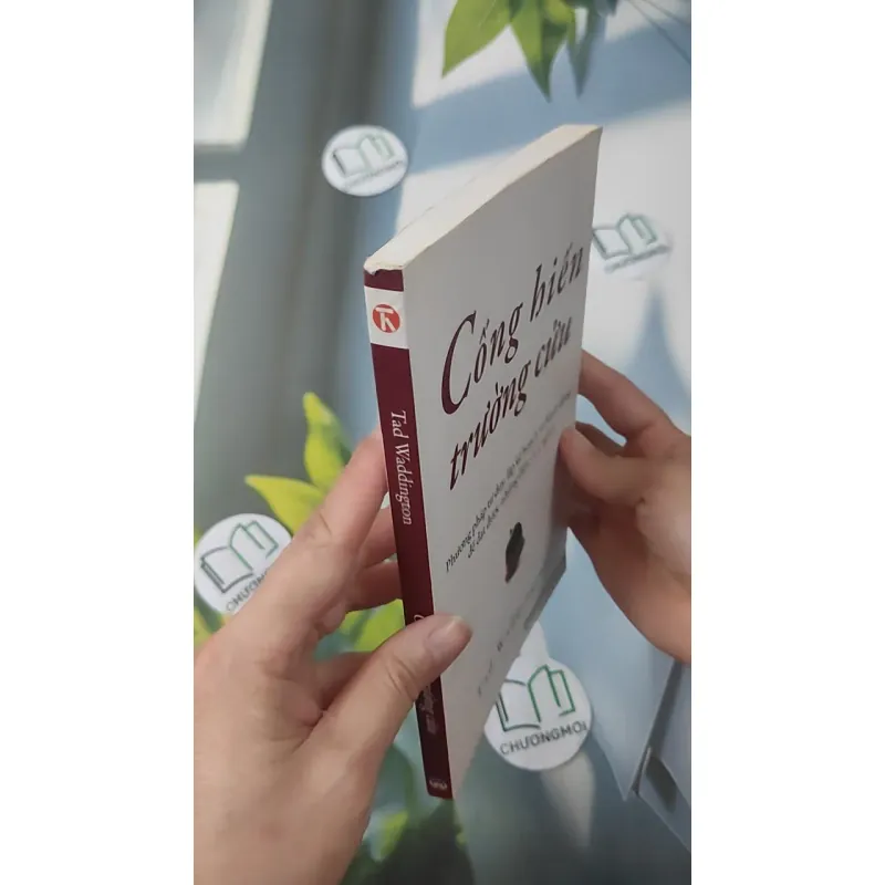 Cống Hiến Trường Cửu - Tad Waddington 961230