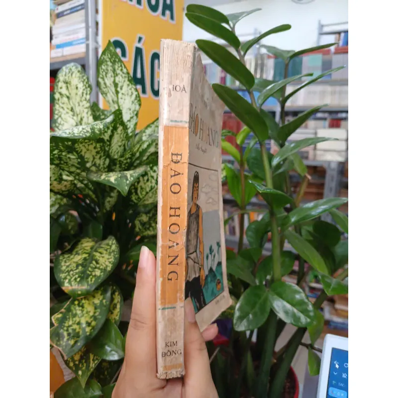 ĐẢO HOANG - TÔ HOÀI 1008980