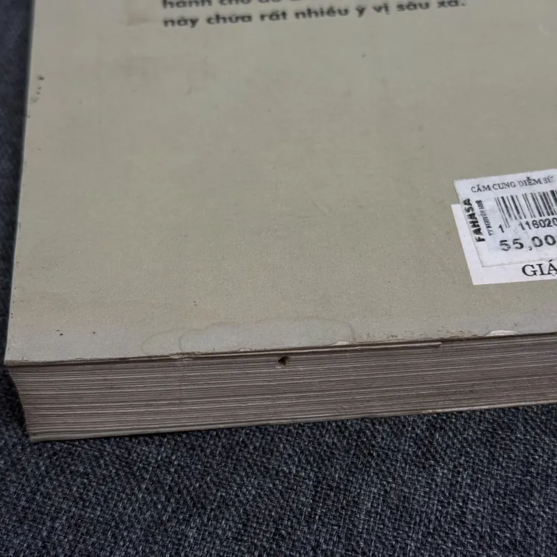 Cấm cung diễm sử - Diệp Hách Nhan Trát Nghi Dân 925446