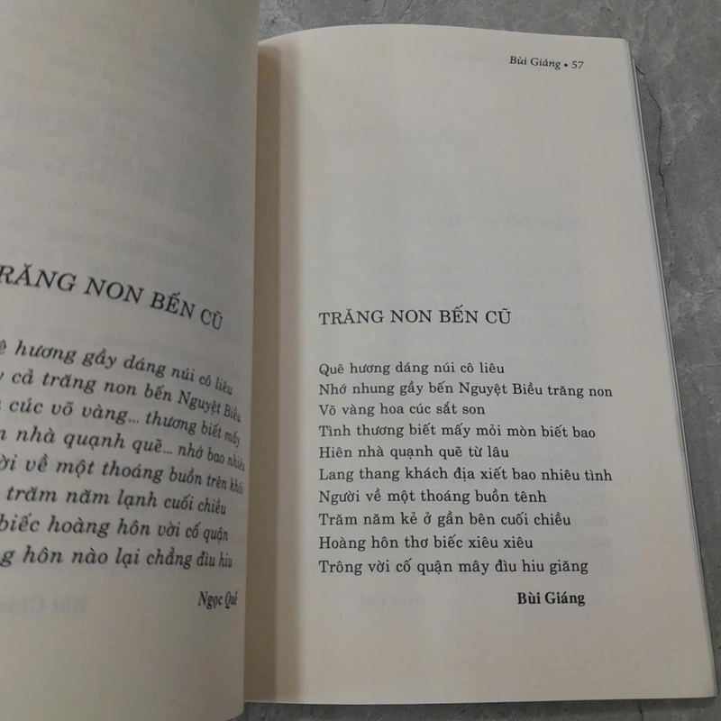 TÌNH THƯƠNG THEO GIÓ - BÙI GIÁNG 533267