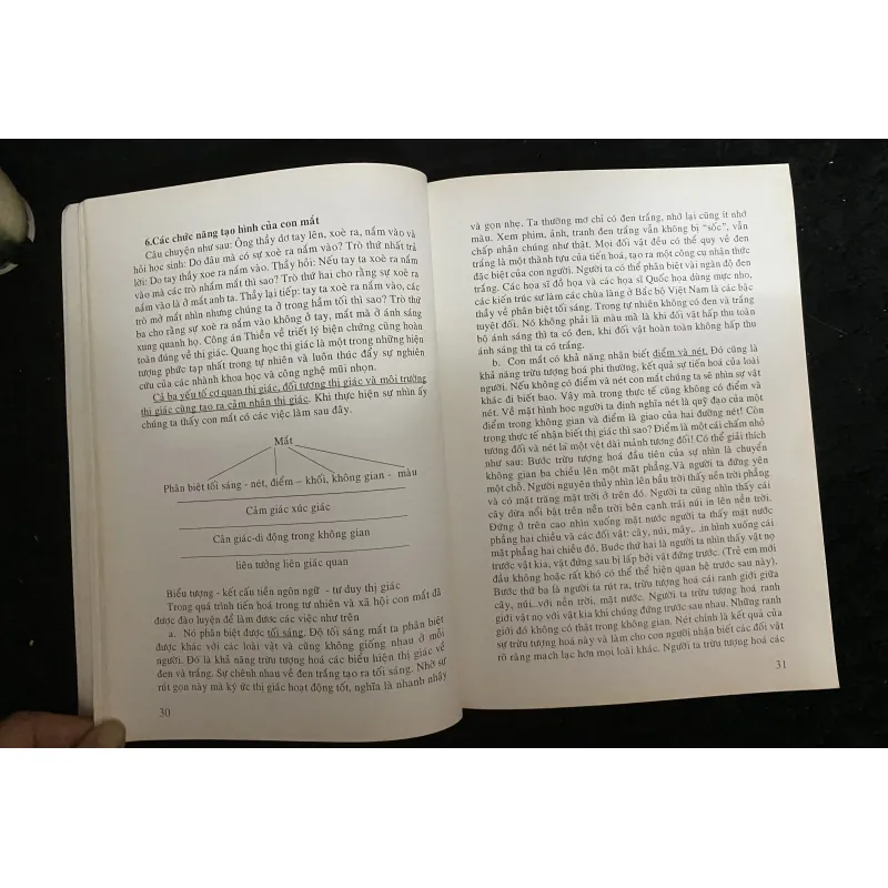 Con mắt nhìn cái đẹp- Nguyễn Quân 1029893