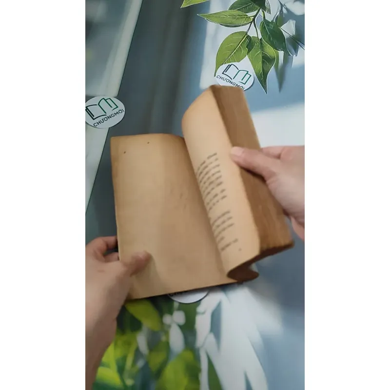 [XƯA] Lỗi Lầm (1991) - Đỗ Thị Thanh Vân 776065