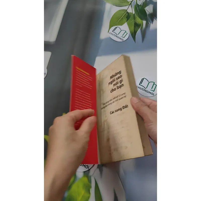 Những Ngôi Sao Nói Gì Cho Bạn: Các Cung Đất - Gary Goldschneider 776100