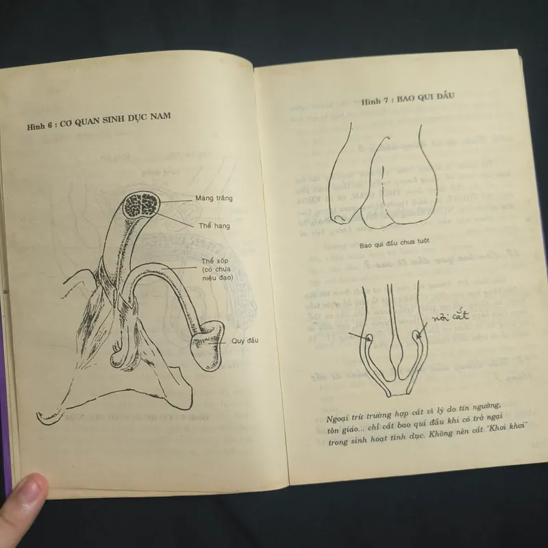 (Giáo dục giới tính cho thanh thiếu niên) Người con gái lấy chồng - BS. Trần Bồng Sơn 697731