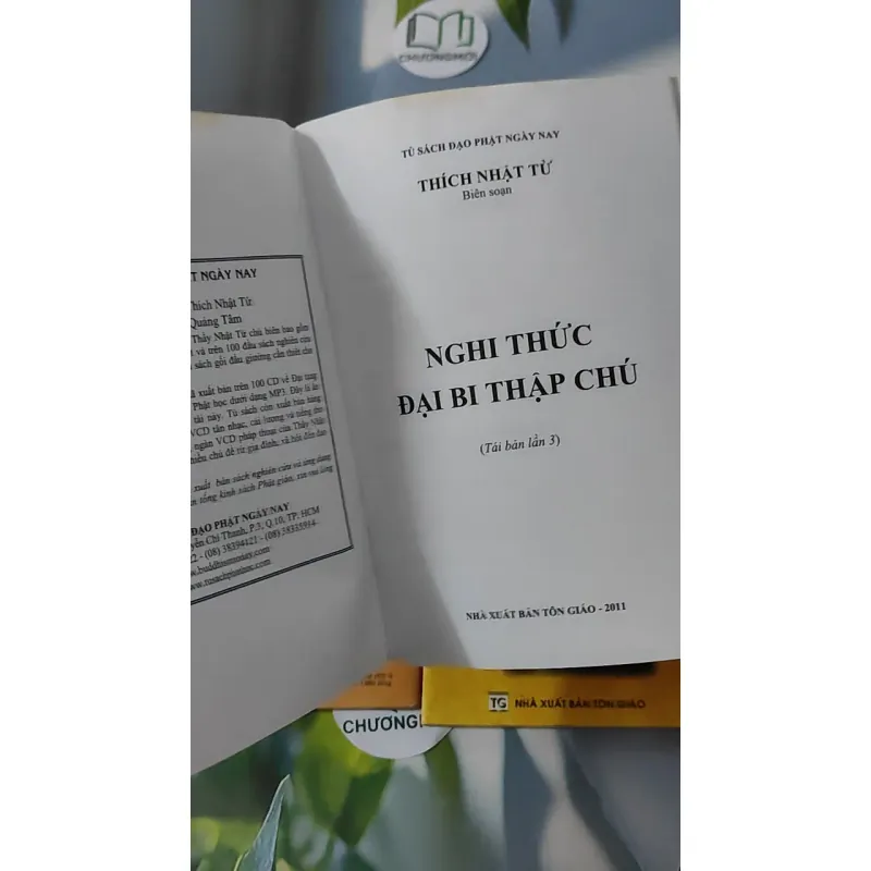 Người Thắng Biển - Nguyễn Bá 928560