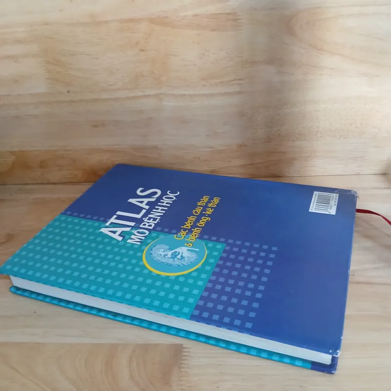 Atlast Mô Bệnh Học Các Bệnh Cầu Thận & Bệnh Ống - Kẽ Thận 799329