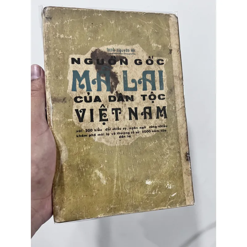 Nguồn gốc Mã Lai của dân tộc Việt Nam - Bình Nguyên Lộc 749116
