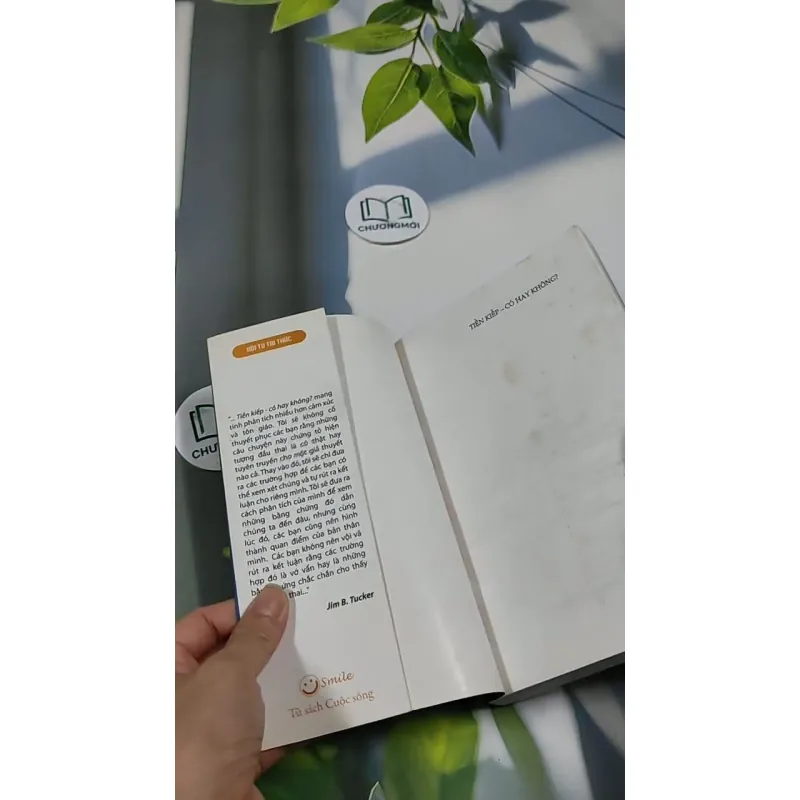 Tiền Kiếp - Có Hay Không? 705673